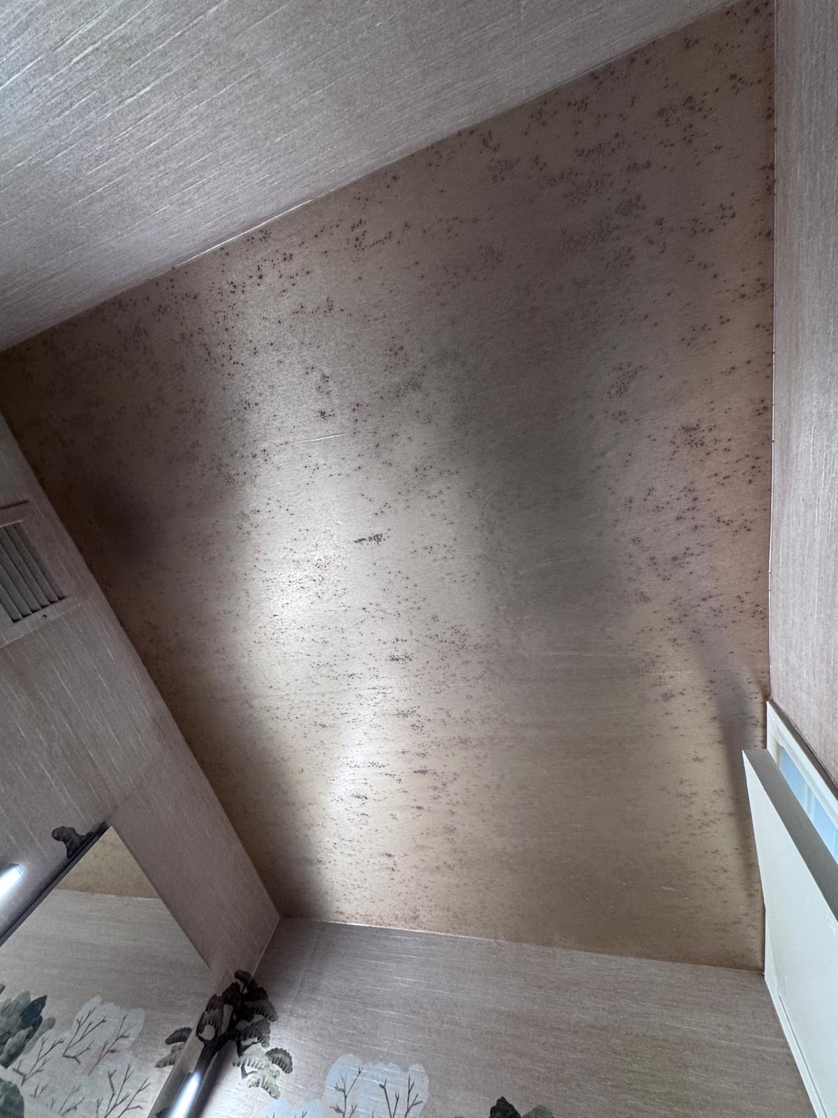 Wallpaper Bathroom Walls Ceiling Gold