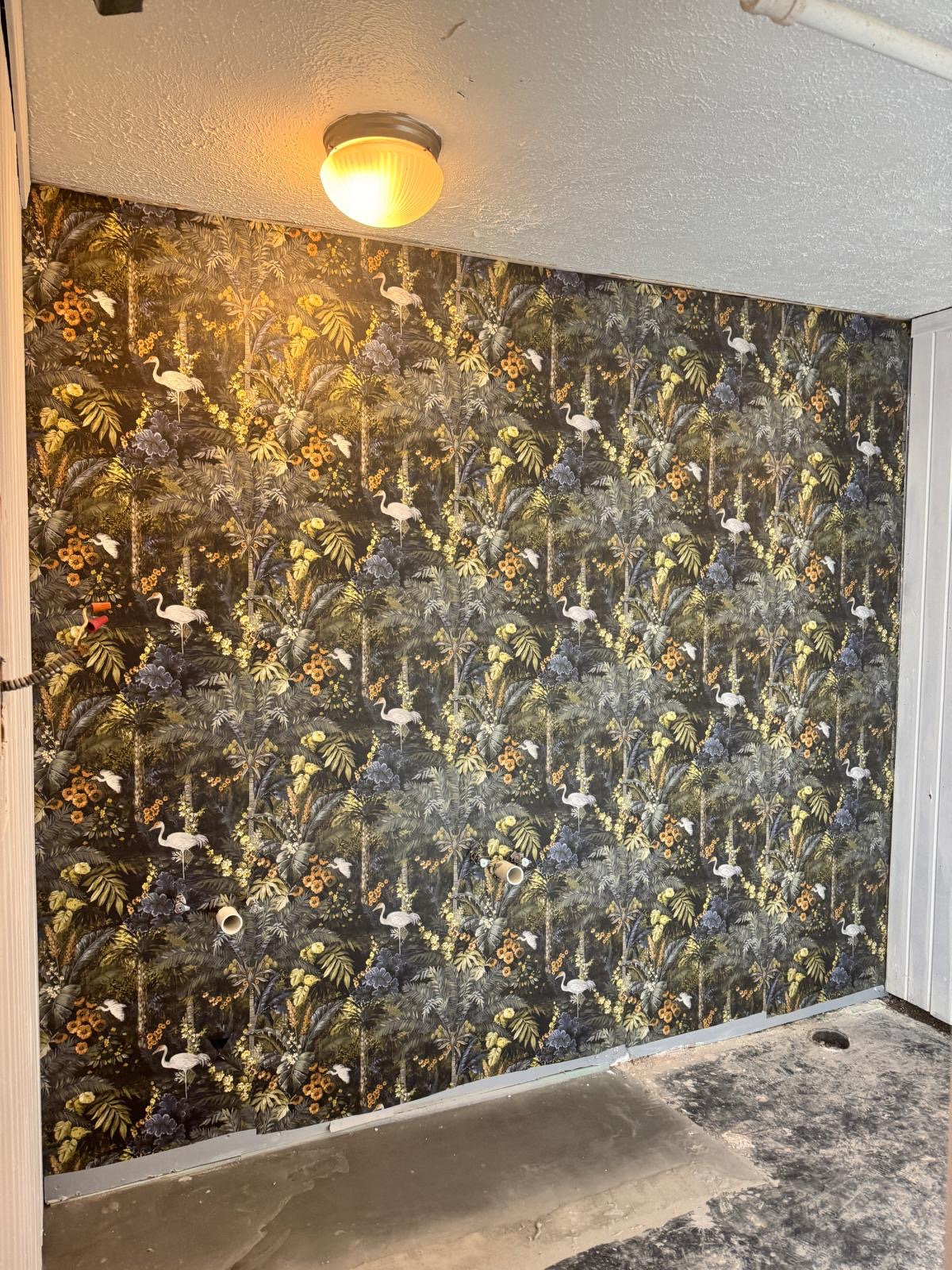 Wallpaper One Wall Bird Jungle